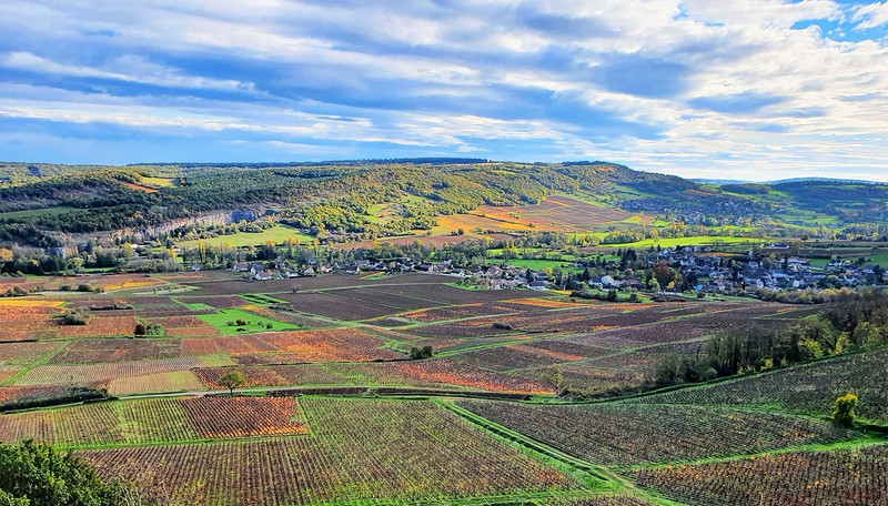 La Vallée de Vaux in de Côte Chalonnaise (Wijn uit Bourgogne)